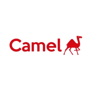 Camlin logo